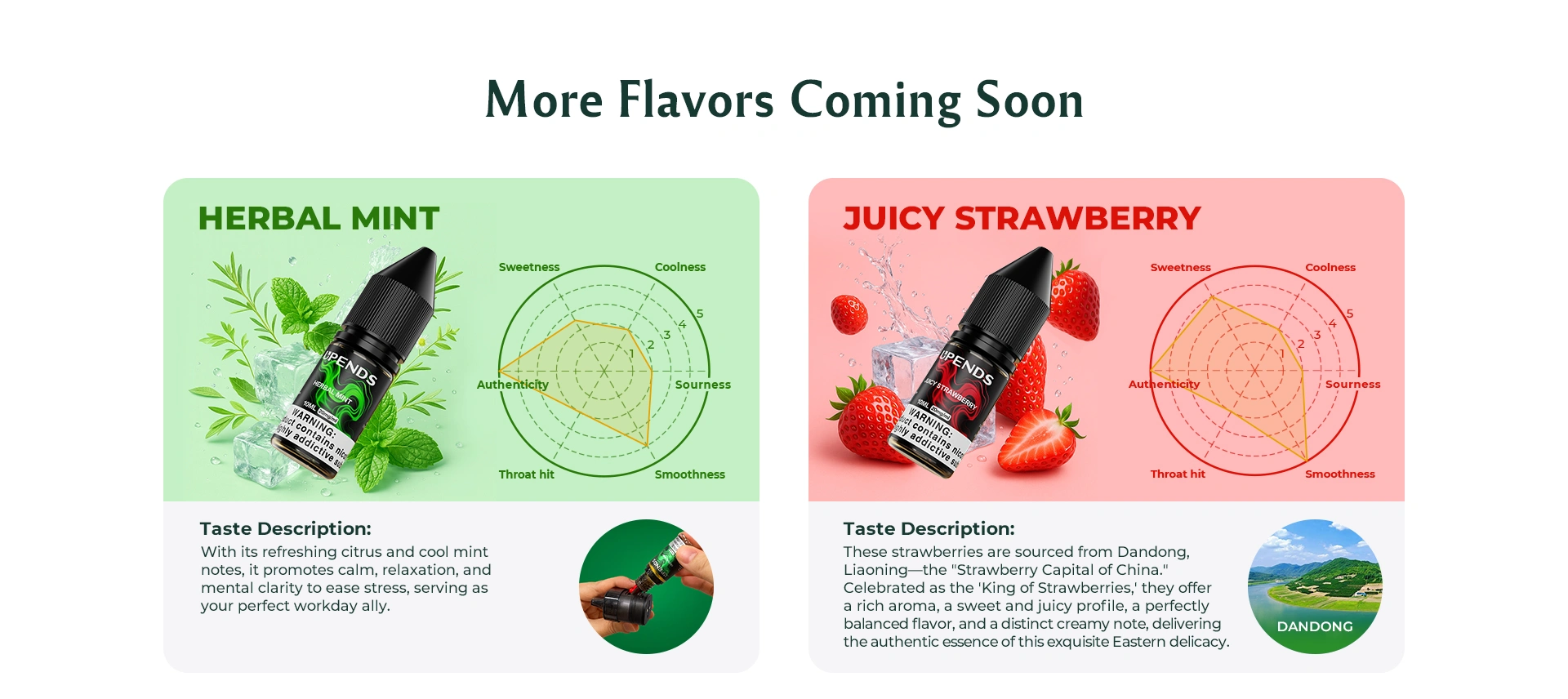 Herbal Mint – Zitrus und kühle Minze für Ruhe, Entspannung und mentale Klarheit, Juicy Strawberry – Dandong-Erdbeeren, süß, saftig, aromatisch, cremige Note
