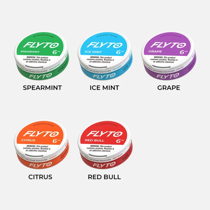 FLYTO Nicotinezakjes – 6mg, 5 opties