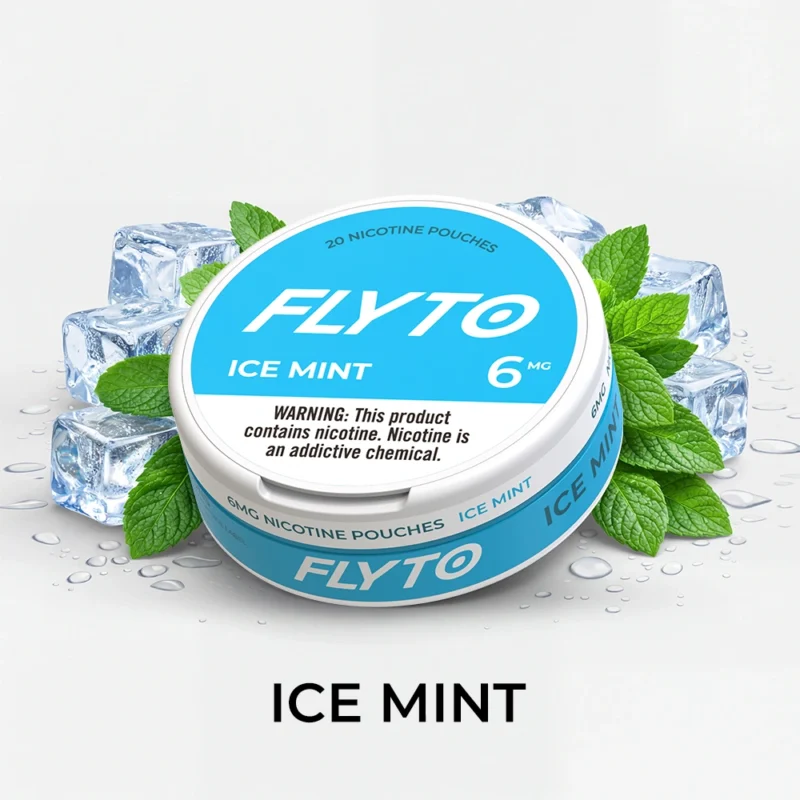 FLYTO Nicotinezakjes – 6mg, Ice Mint