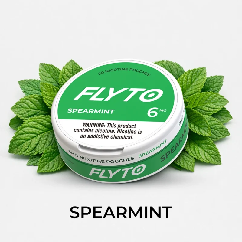 FLYTO Nicotinezakjes – 6mg, Spearmint
